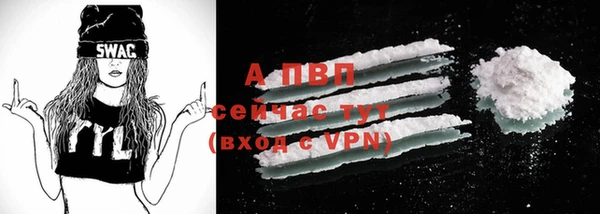 твердый Ладушкин
