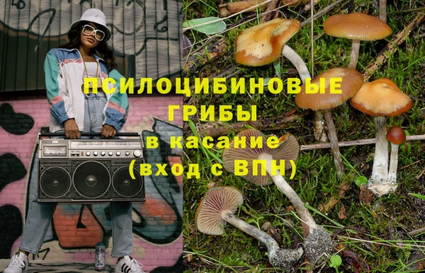 дживик Липки