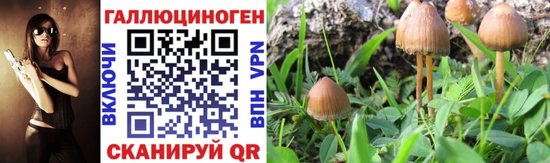 Псилоцибиновые грибы мухоморы  купить наркотик  маркетплейс телеграм  Строитель 