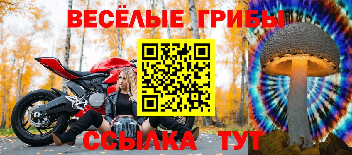 Галлюциногенные грибы ЛСД  Вход с VPN  Строитель 