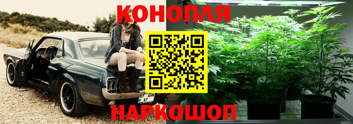 Канабис SATIVA & INDICA Строитель